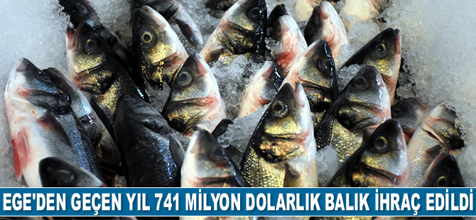 Ege Bölgesi'nden geçen yıl 741 milyon dolarlık balık ihraç edildi