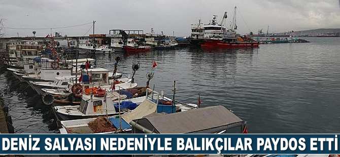 Deniz salyası, balıkçılara paydos ettirdi