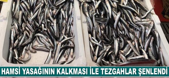 Hamsi yasağının kalkması ile birlikte tezgahlar şenlendi