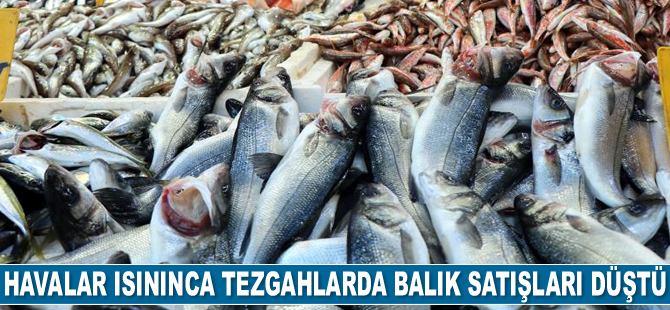 Havalar ısınınca balık satışları düştü