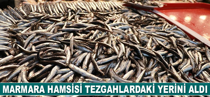 Marmara hamsisi tezgahlardaki yerini aldı