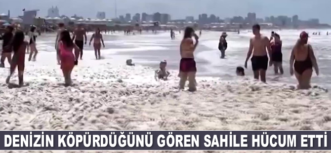 Denizin köpürdüğünü gören sahile hücum etti