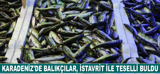 Balıkçılar, istavrit ile teselli buldu