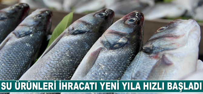 Su ürünleri ihracatı yeni yıla hızlı başladı