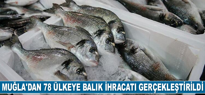 Muğla'dan 78 ülkeye balık ihraç edildi