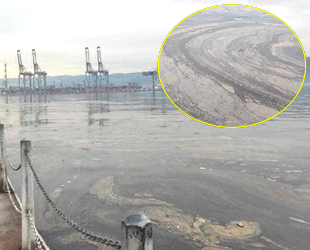 İzmit Körfezi'ndeki kirliliğin nedeni belli oldu