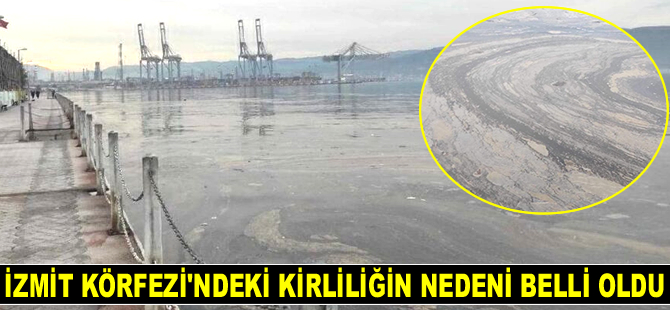 İzmit Körfezi'ndeki kirliliğin nedeni belli oldu