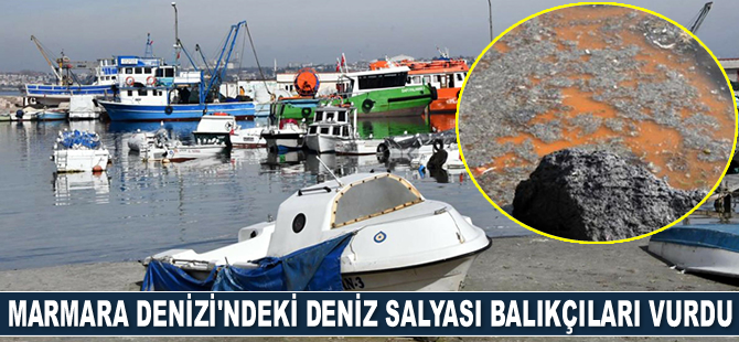 Marmara Denizi'ndeki deniz salyası balıkçıları vurdu