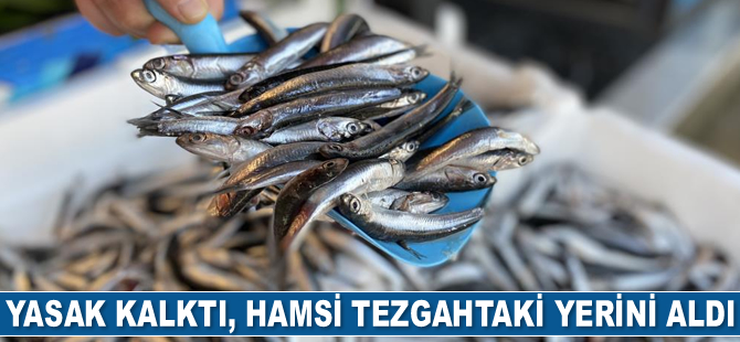 Yasak kalktı, hamsi tezgahtaki yerini aldı