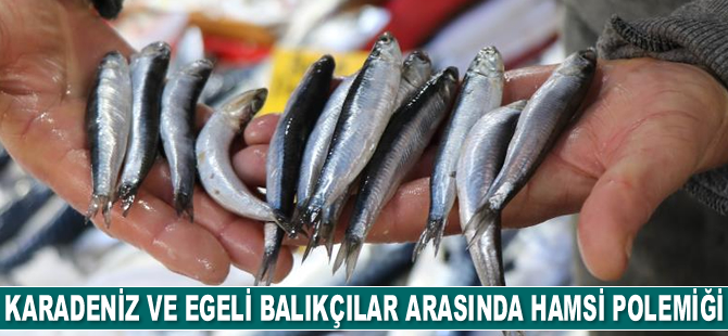 Karadeniz ve Egeli balıkçılar arasında hamsi polemiği başladı