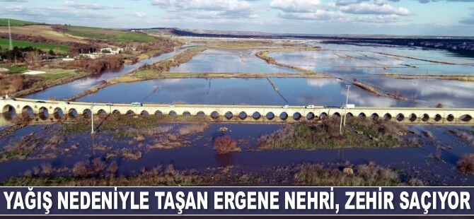 Yağış nedeniyle taşan Ergene Nehri, zehir saçıyor
