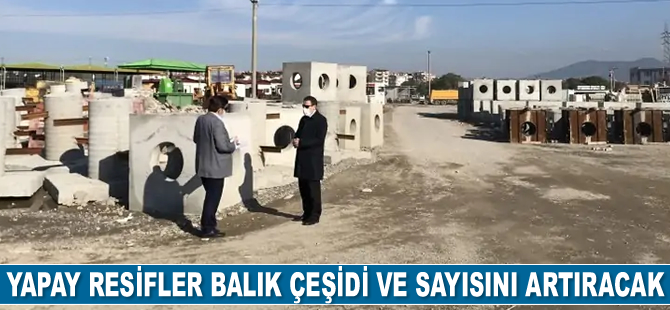 Burhaniye’de yapay resifler balık çeşidi ve sayısını artıracak