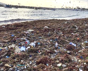 Suadiye Sahili'nde çöpler kıyıya vurdu