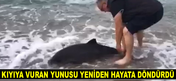 Kıyıya vuran yunusu hayata döndürdü