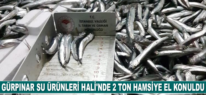 Gürpınar Su Ürünleri Hali'nde 2 ton hamsiye el konuldu