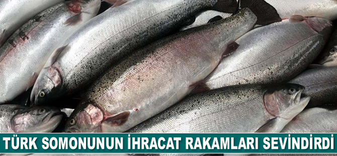 Türk somonunun pandemiye rağmen ihracat rakamları sevindirdi