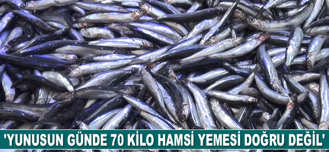 Mehmet Gökoğlu: Yunusun günde 70 kilogram hamsi yemesi doğru bir rakam değil