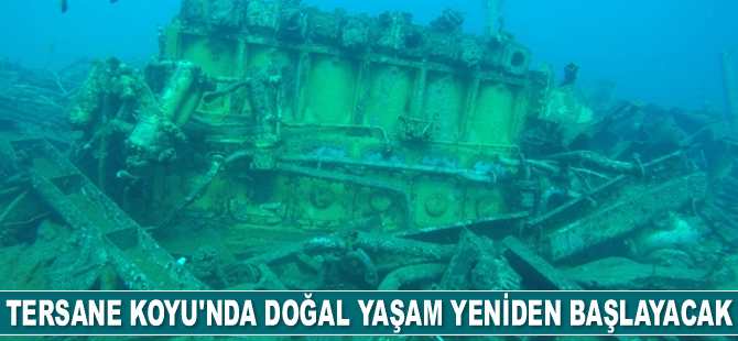 Batık geminin çıkarılmasıyla Tersane Koyu'nda doğal yaşam yeniden başlayacak