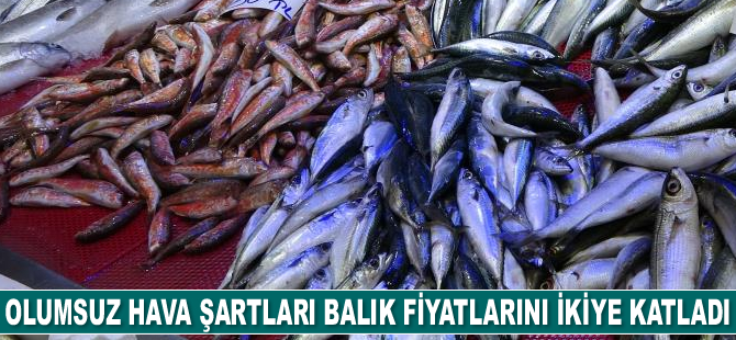 Hava şartları nedeniyle tezgahlarda çeşit azaldı, fiyatlar yükseldi