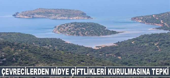Çevreciler, Dilek Yarımadası kıyılarına midye çiftlikleri kurulmasını istemiyor