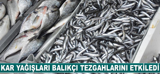 Kar yağışları balıkçı tezgahlarını etkiledi
