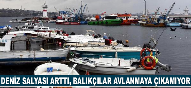 Marmara'da deniz salyası arttı, balıkçılar avlanmaya çıkamıyor