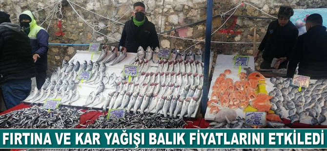 Balık fiyatlarını soğuk vurdu