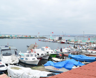 Marmara’da balıkçıların korkulu rüyası 10 yıl sonra geri döndü