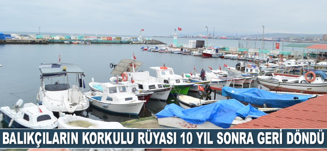 Marmara’da balıkçıların korkulu rüyası 10 yıl sonra geri döndü