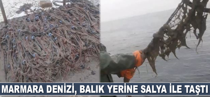 Deniz, balık yerine salya ile taştı