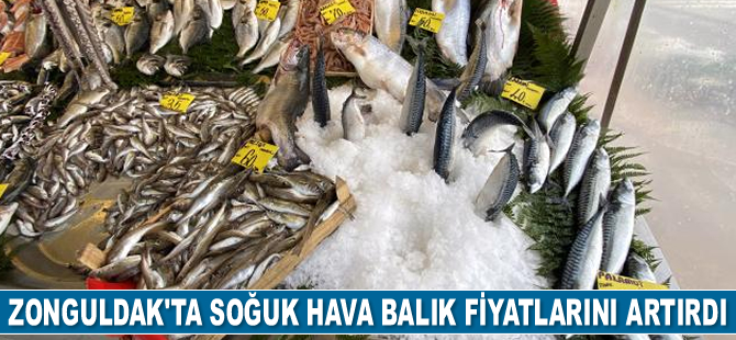 Sakarya ve Zonguldak'ta soğuk hava balık fiyatlarını artırdı