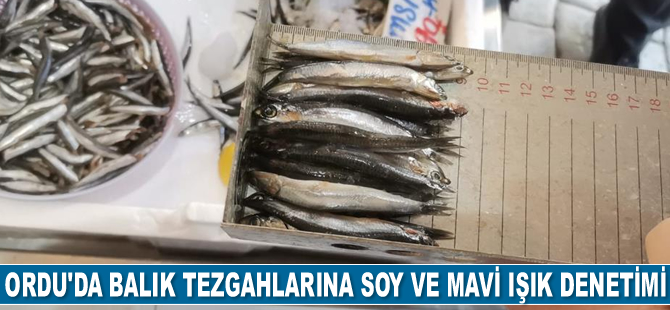 Ordu’da balık tezgahlarında soy ve mavi ışık denetimi gerçekleştirildi