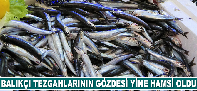 Tezgahların gözdesi yine hamsi oldu