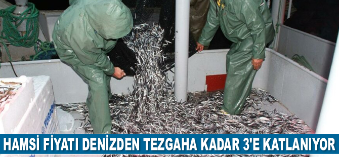 Hamsi fiyatı denizden tezgaha kadar 3’e katlanıyor