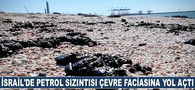 İsrail'de petrol sızıntısı çevre faciasına yol açtı