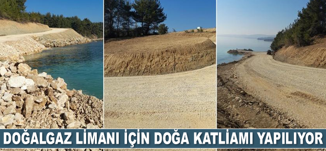 Saros Körfezi'nde doğalgaz limanı için doğa katliamı yapılıyor