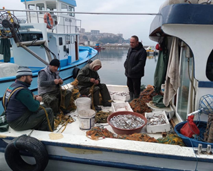 Zonguldaklı balıkçıların yüzünü mezgit güldürdü