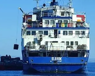 Hasta hayvan yüklü gemi, Kıbrıs'ta panik yarattı