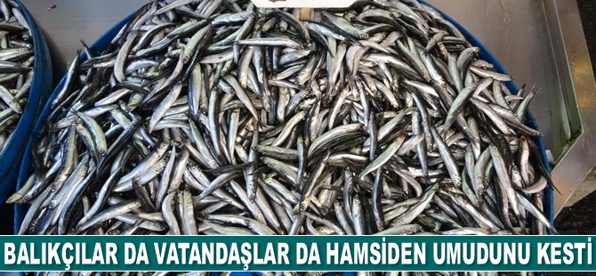 Balıkçılar da vatandaşlar da hamsiden umudunu kesti