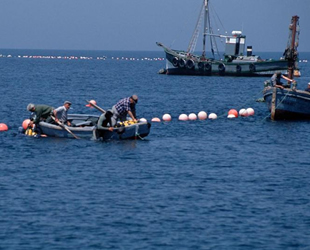 WWF: Akdeniz’in en az üçte biri etkin şekilde korunmalı