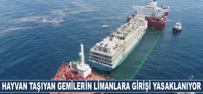 Avustralya, standartları karşılamayan hayvan taşıyıcı gemilerin limanlarına girişini yasaklayacak