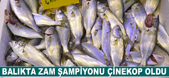 Balıkta zam şampiyonu çinekop oldu