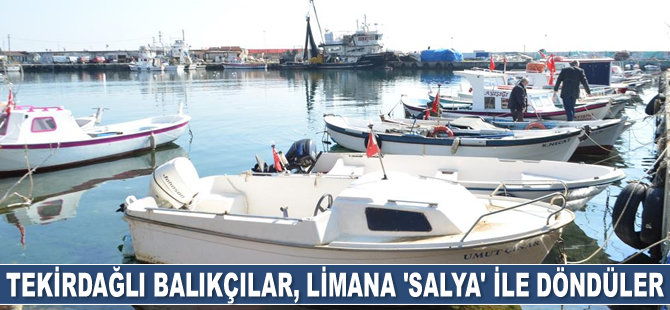 Tekirdağlı balıkçılar, limana ‘salya’ ile döndüler
