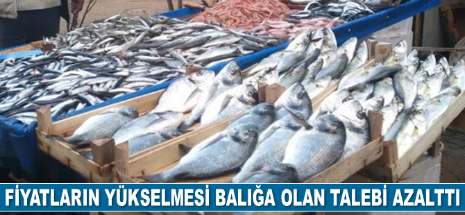 Fiyatların yükselmesi balığa talebi azalttı