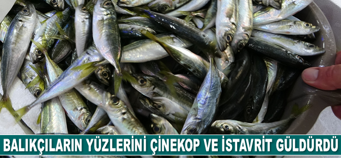 Balıkçıların yüzlerini çinekop ve istavrit güldürdü