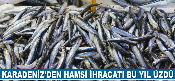 Karadeniz’den hamsi ihracatı bu yıl üzdü