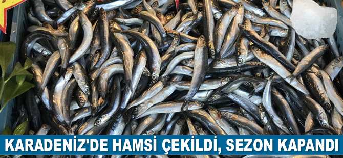 Karadeniz'de hamsi çekildi, sezon kapandı