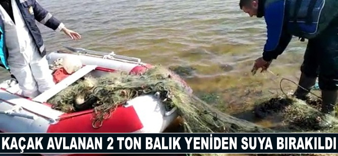 Kaçak avlanan 2 ton balık yeniden suya bırakıldı
