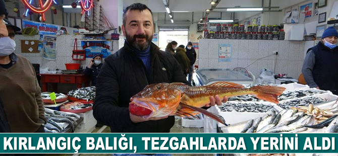 Kırlangıç balığı, balık av sezonunun sonlarına doğru ortaya çıktı