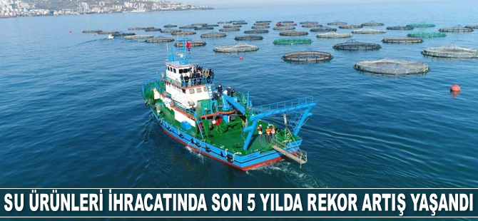 Trabzon’dan su ürünleri ihracatında son 5 yılda rekor artış yaşandı